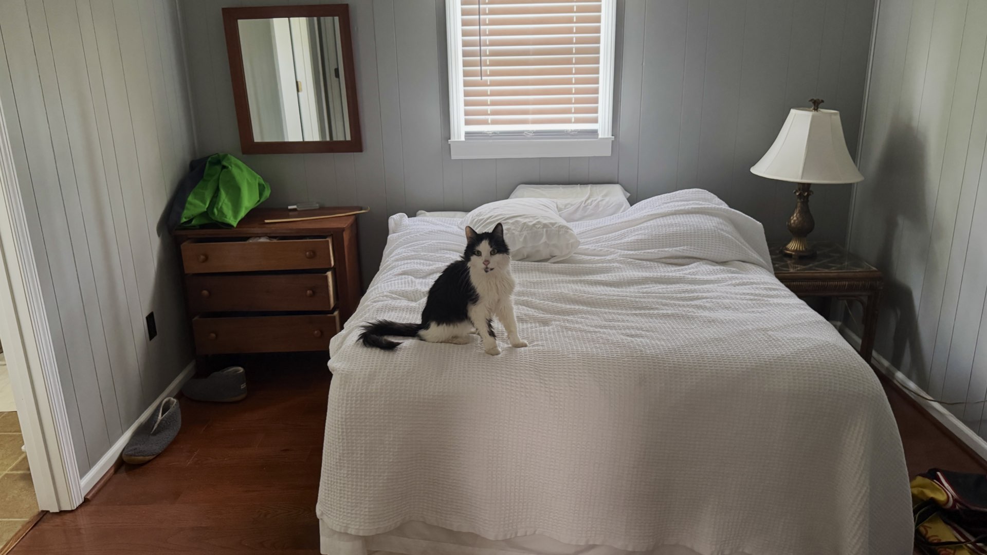 Nunzio on bed